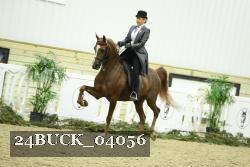 24BUCK_04056 thumbnail