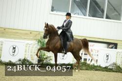 24BUCK_04057 thumbnail