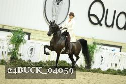 24BUCK_04059 thumbnail