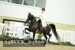 24BUCK_04060 thumbnail
