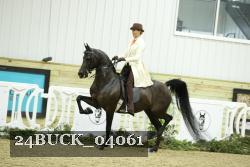 24BUCK_04061 thumbnail