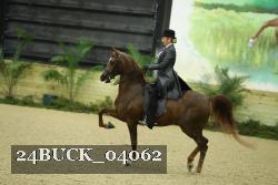 24BUCK_04062 thumbnail