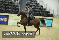 24BUCK_04063 thumbnail