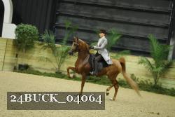 24BUCK_04064 thumbnail