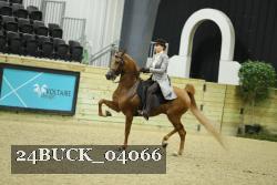 24BUCK_04066 thumbnail