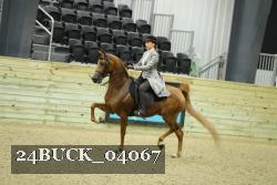 24BUCK_04067 thumbnail
