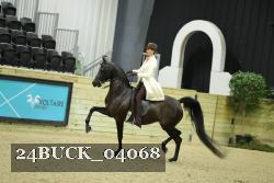 24BUCK_04068 thumbnail