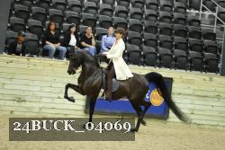 24BUCK_04069 thumbnail