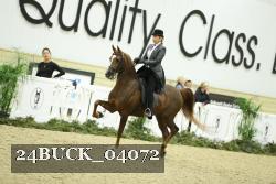 24BUCK_04072 thumbnail