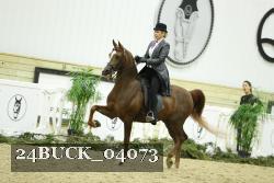 24BUCK_04073 thumbnail