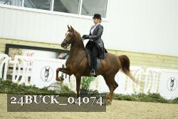 24BUCK_04074 thumbnail