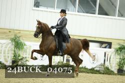 24BUCK_04075 thumbnail