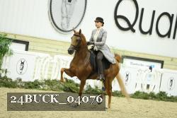 24BUCK_04076 thumbnail