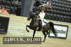 24BUCK_04101 thumbnail