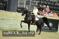 24BUCK_04102 thumbnail