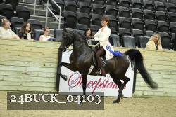 24BUCK_04103 thumbnail
