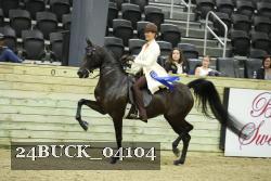 24BUCK_04104 thumbnail