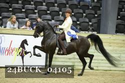 24BUCK_04105 thumbnail