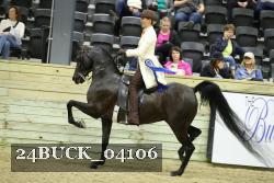 24BUCK_04106 thumbnail