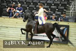 24BUCK_04107 thumbnail