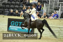 24BUCK_04108 thumbnail