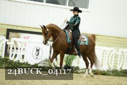 24BUCK_04117 thumbnail