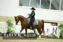 24BUCK_04118 thumbnail