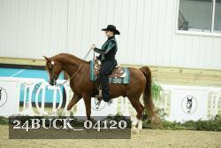 24BUCK_04120 thumbnail