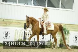 24BUCK_04121 thumbnail