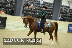 24BUCK_04134 thumbnail