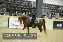 24BUCK_04136 thumbnail