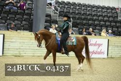 24BUCK_04137 thumbnail