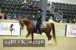 24BUCK_04138 thumbnail