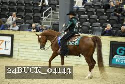 24BUCK_04143 thumbnail