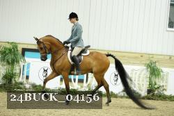 24BUCK_04156 thumbnail