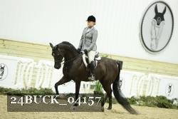 24BUCK_04157 thumbnail