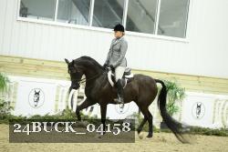 24BUCK_04158 thumbnail