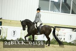 24BUCK_04159 thumbnail