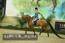 24BUCK_04161 thumbnail