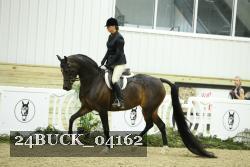 24BUCK_04162 thumbnail