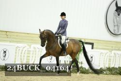 24BUCK_04164 thumbnail