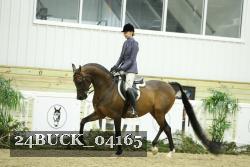 24BUCK_04165 thumbnail