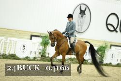 24BUCK_04166 thumbnail