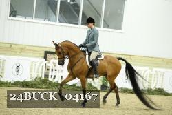 24BUCK_04167 thumbnail