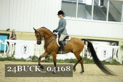 24BUCK_04168 thumbnail