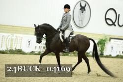 24BUCK_04169 thumbnail