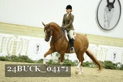 24BUCK_04171 thumbnail