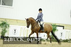 24BUCK_04172 thumbnail