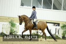 24BUCK_04173 thumbnail