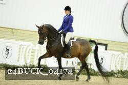 24BUCK_04174 thumbnail